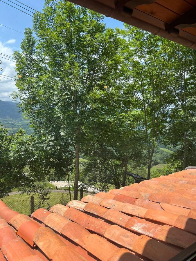 Apartamentos La Cabana Del Cerro Alto Beceña Dış mekan fotoğraf